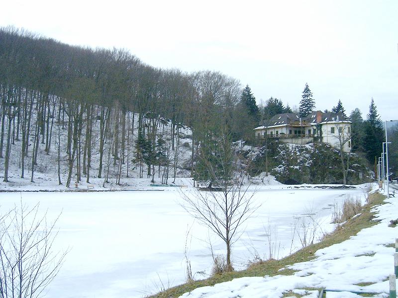 20110219 082.jpg